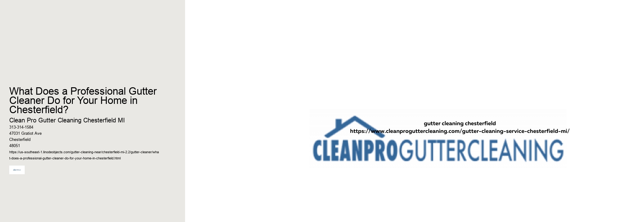 What Does a Professional Gutter Cleaner Do for Your Home in Chesterfield? 